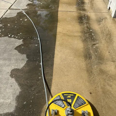 A freshly cleaned set of stairs.